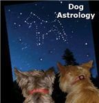 Dog Astrology Ebook